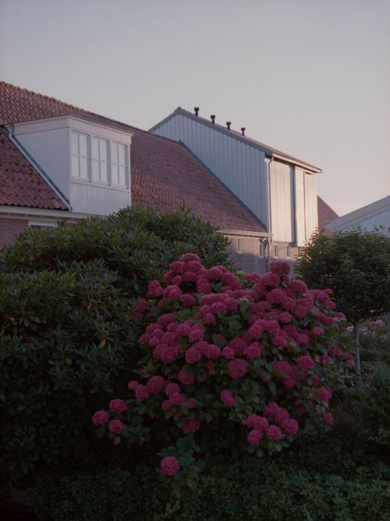 Ugo Costa Compose.(No Ideas But In Things)Invent! C41magazine Photography 20