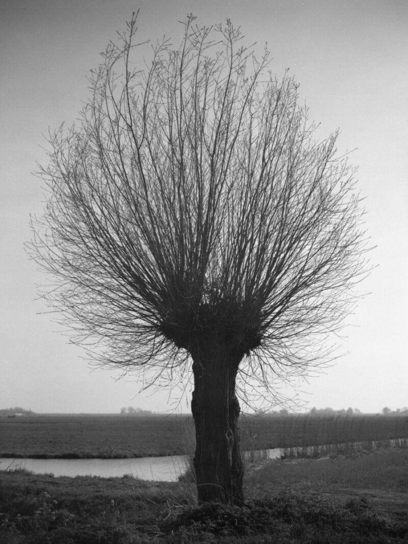 Ugo Costa Compose.(No Ideas But In Things)Invent! C41magazine Photography 22