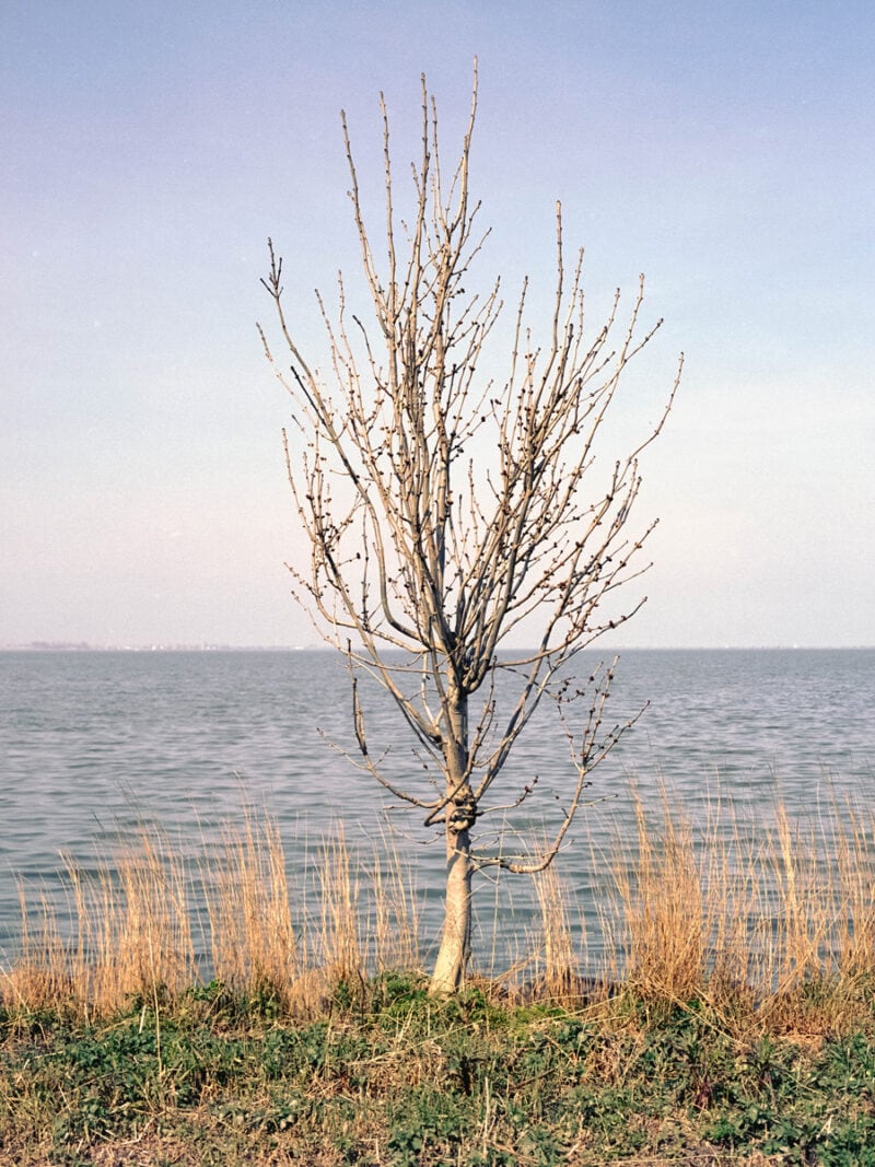 Ugo Costa Compose.(No Ideas But In Things)Invent! C41magazine Photography 8