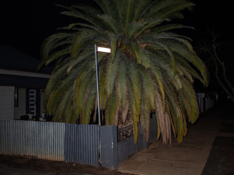 Jamie Hladky shows the Australian rare desert rains