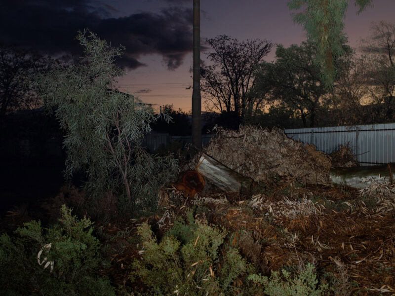 Jamie Hladky  Silver City, Lode Of Lead C41magazine Photography 7
