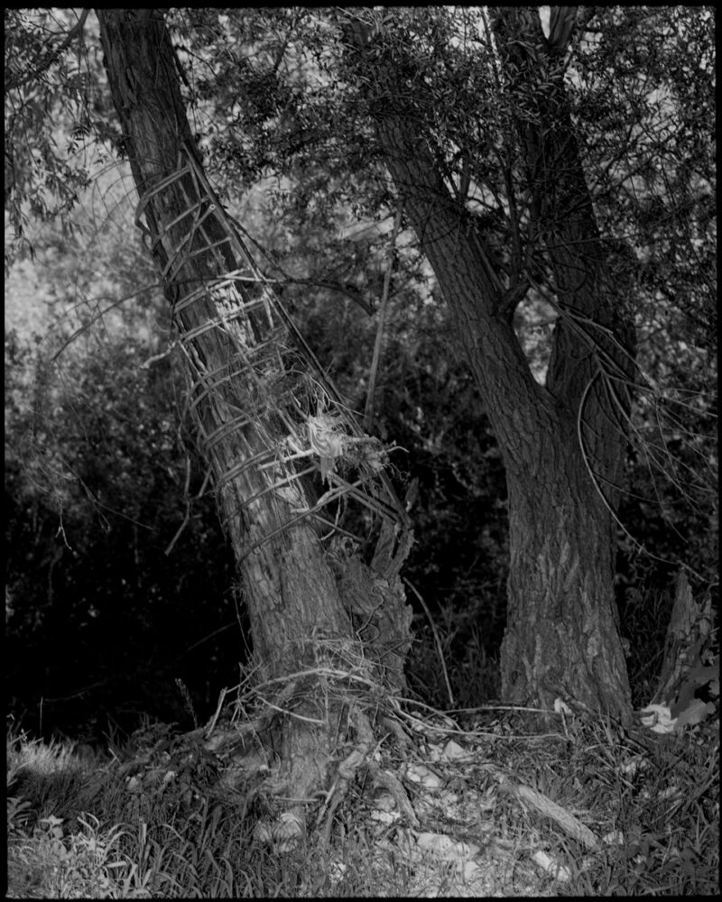 Pietro Bucciarelli Acqua Nera C41magazine Photography 7