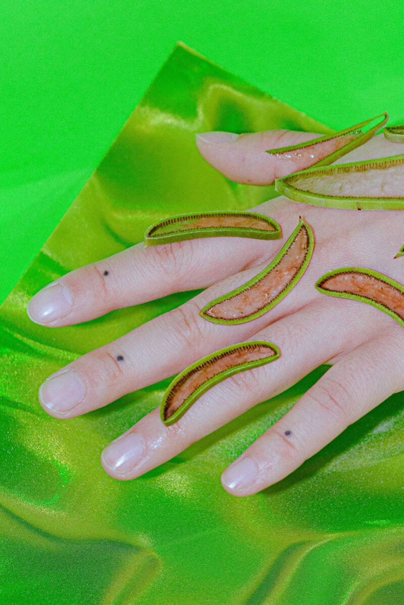 Ruby Rossini Looking For Nature Where Nature Is Not C41magazine Photography 4
