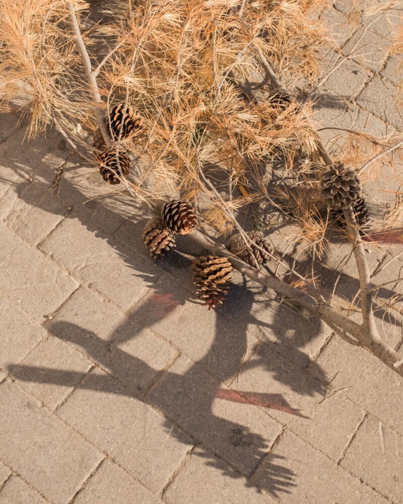Andrea Camiolo This Must Be The Place C41magazine Photography 23