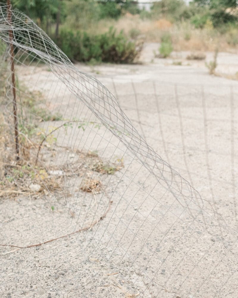 Andrea Camiolo This Must Be The Place C41magazine Photography 6