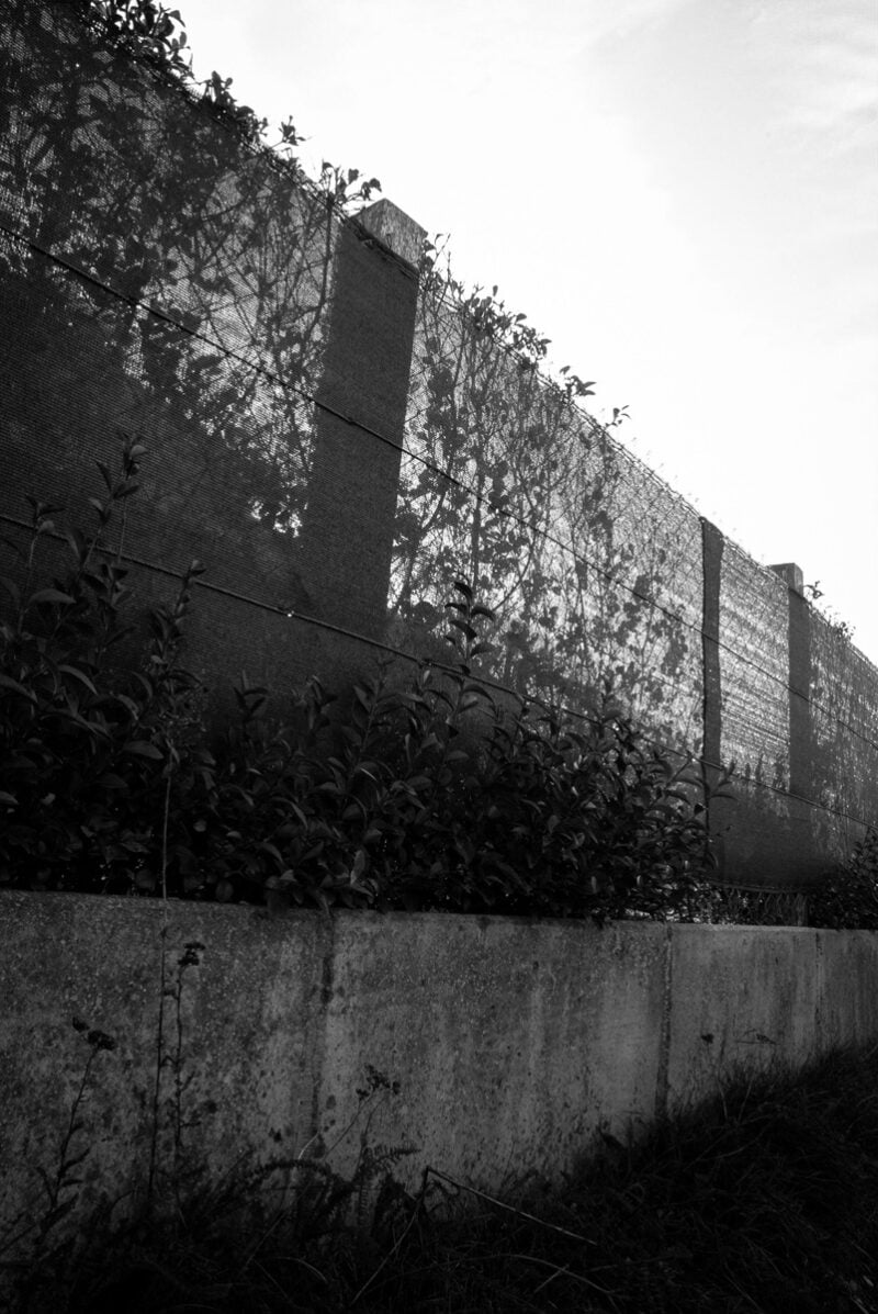 Nico Lethbridge Beyond The Garden Walls C41magazine Photography 10