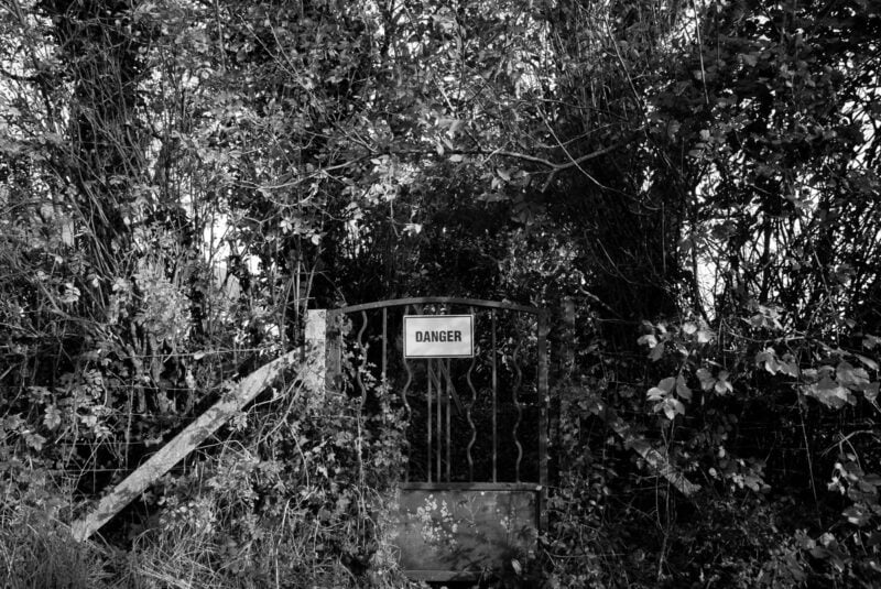 Nico Lethbridge Beyond The Garden Walls C41magazine Photography 11