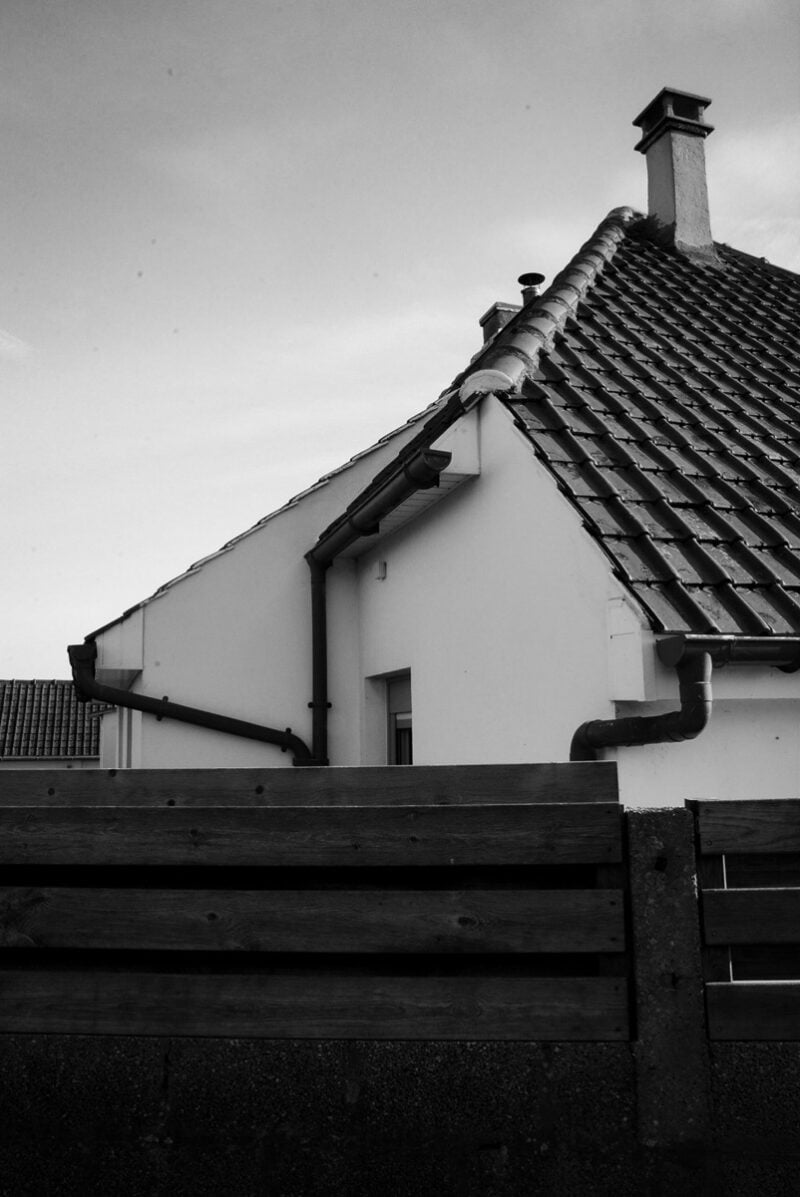 Nico Lethbridge Beyond The Garden Walls C41magazine Photography 5