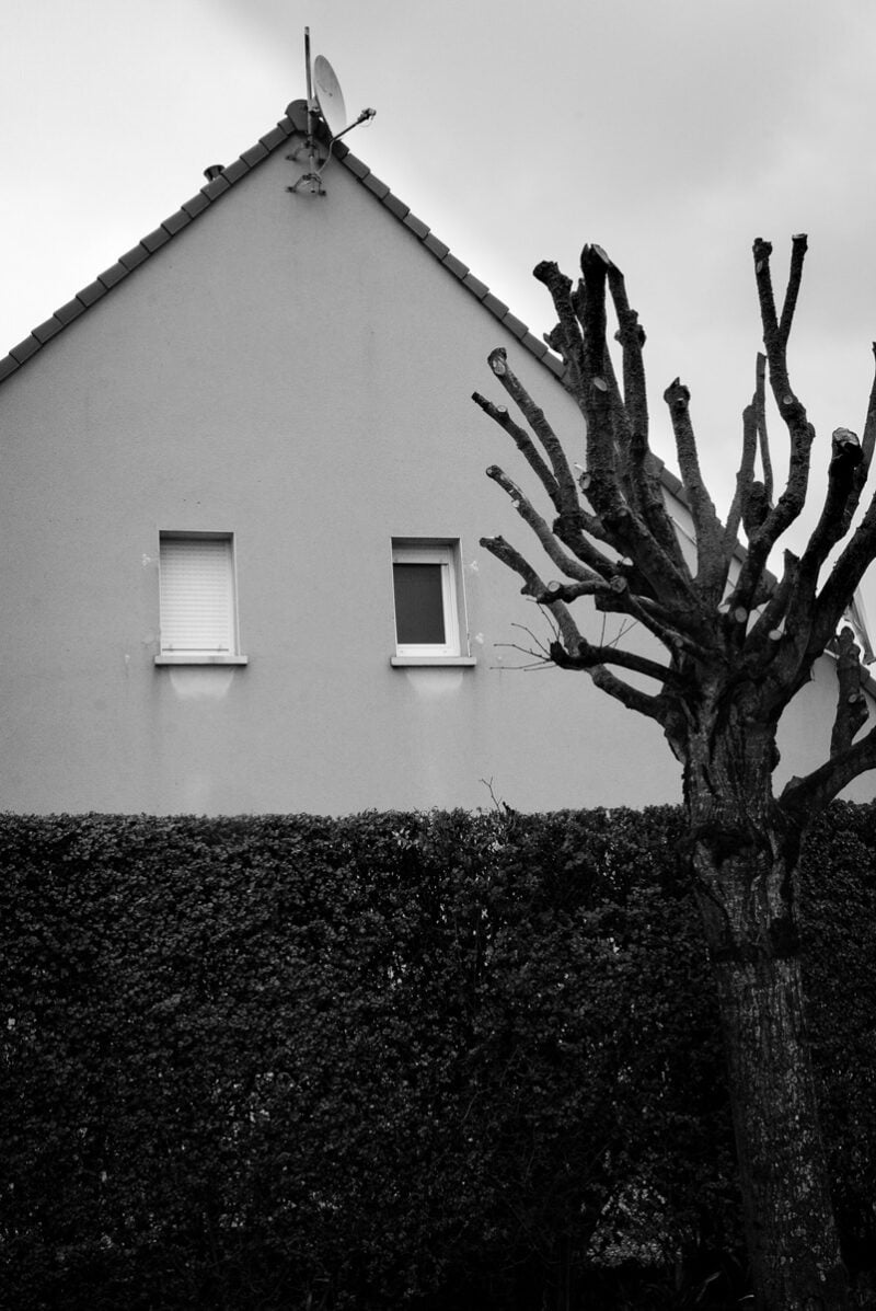 Nico Lethbridge Beyond The Garden Walls C41magazine Photography 6