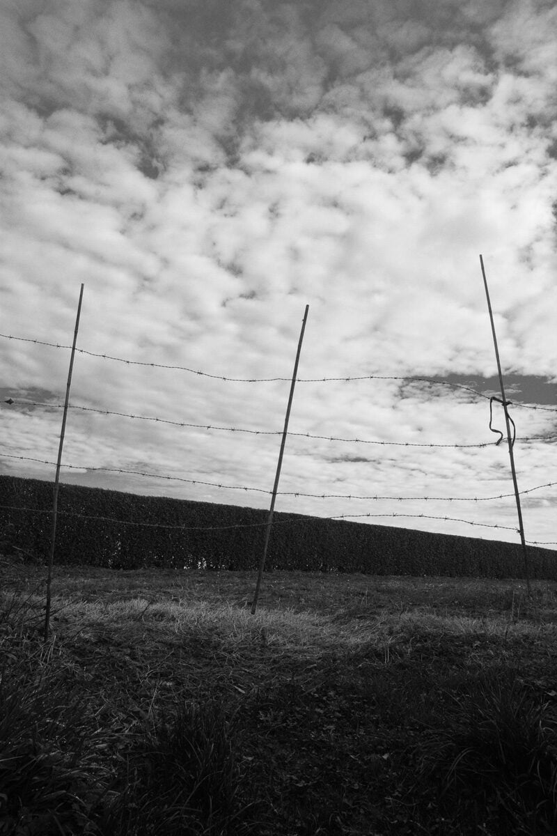Nico Lethbridge Beyond The Garden Walls C41magazine Photography 9