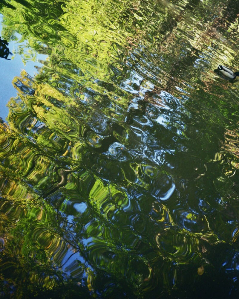 Pietro Bernocchi Mediterranee C41magazine Photography 13