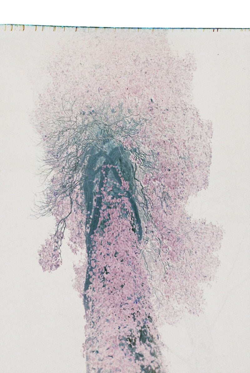 Tereza Kozinc Finding Stenli C41magazine Photography 4