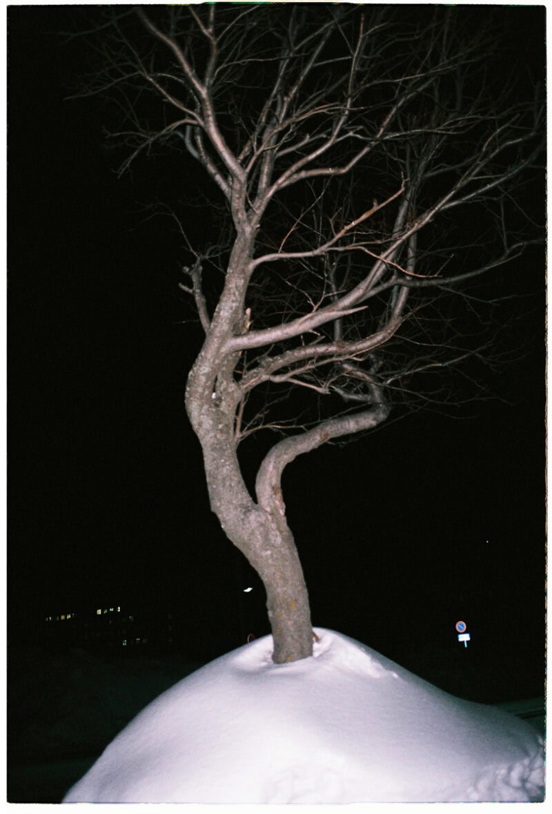 Tereza Kozinc Finding Stenli C41magazine Photography 7