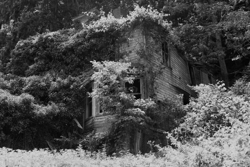 Louise Honée We Love Where We Live C41magazine Photography 10