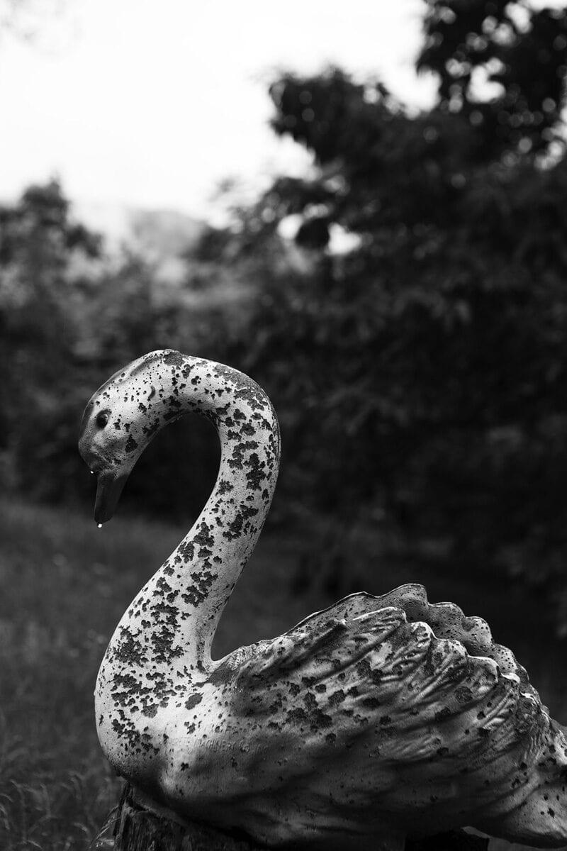 Louise Honée We Love Where We Live C41magazine Photography 5