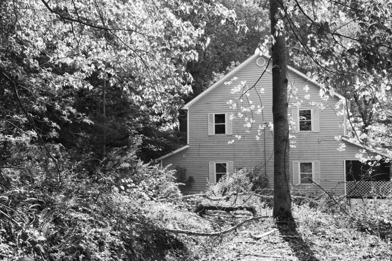 Louise Honée We Love Where We Live C41magazine Photography 8