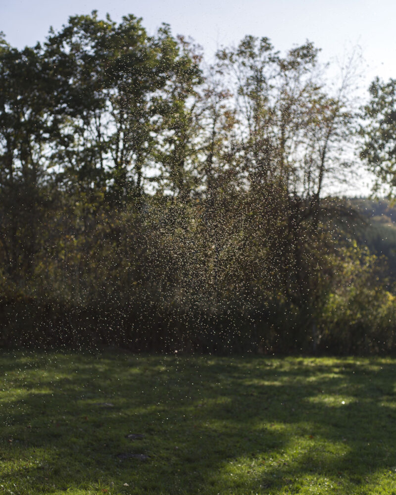 Bastien Bilheux L'absent, C'est L’autre C41magazine Photography 1