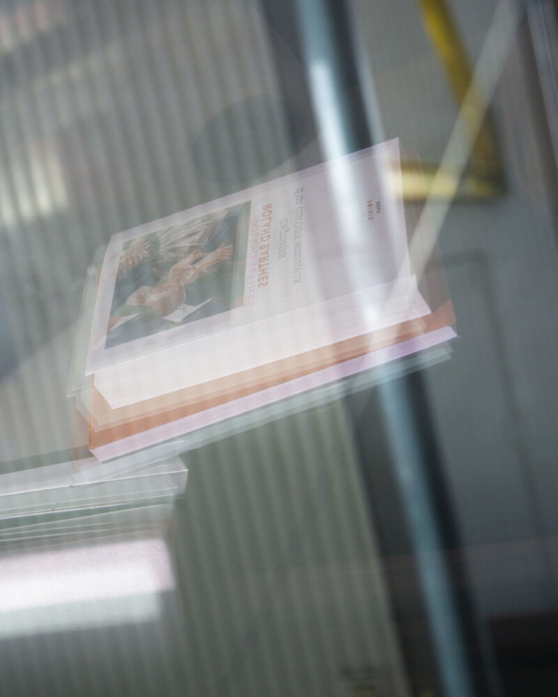 Bastien Bilheux L'absent, C'est L’autre C41magazine Photography 11