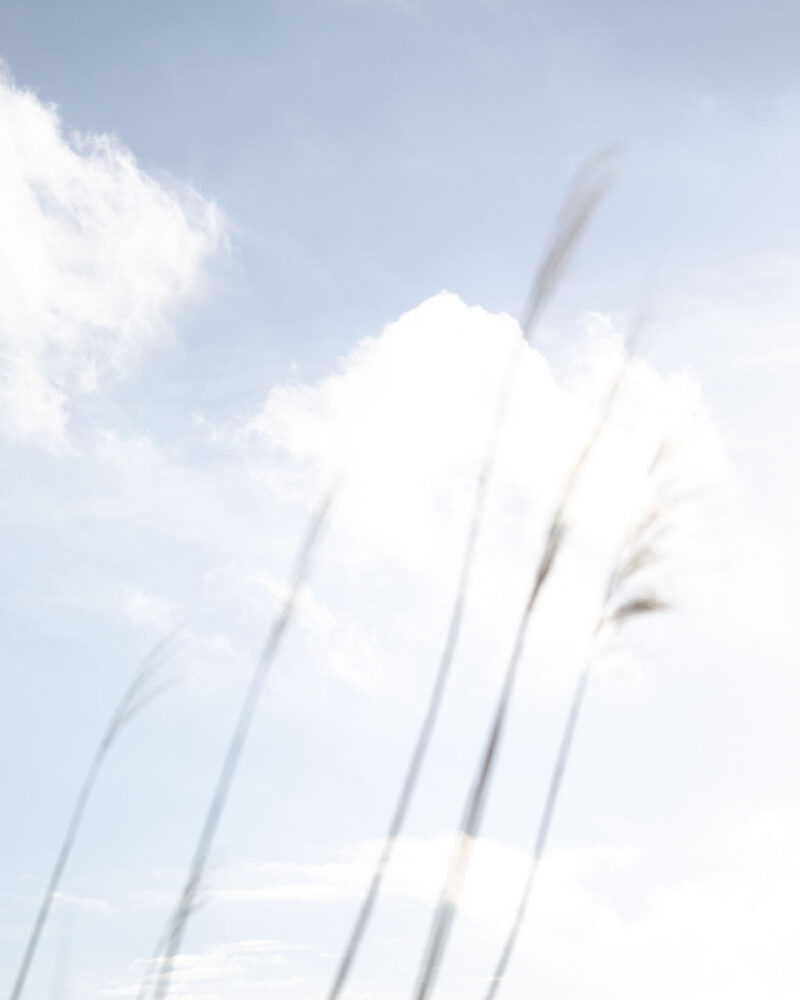 Bastien Bilheux L'absent, C'est L’autre C41magazine Photography 8