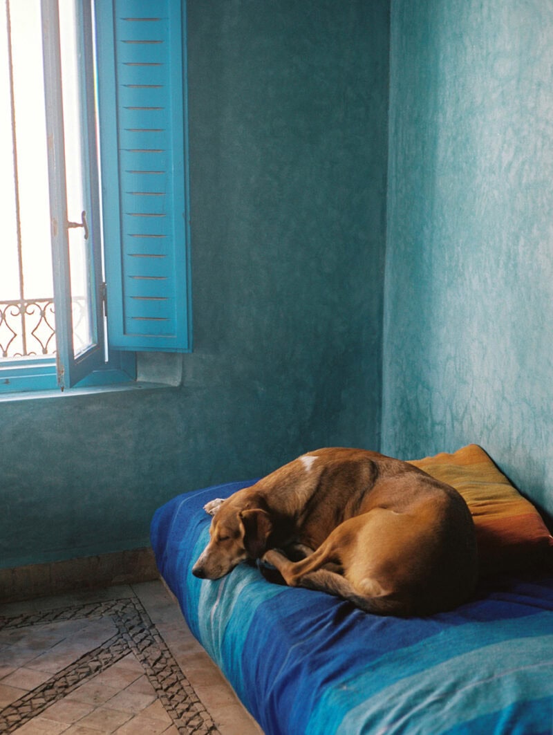 Cleo Goossens Route Du Soleil C41magazine Photography 12