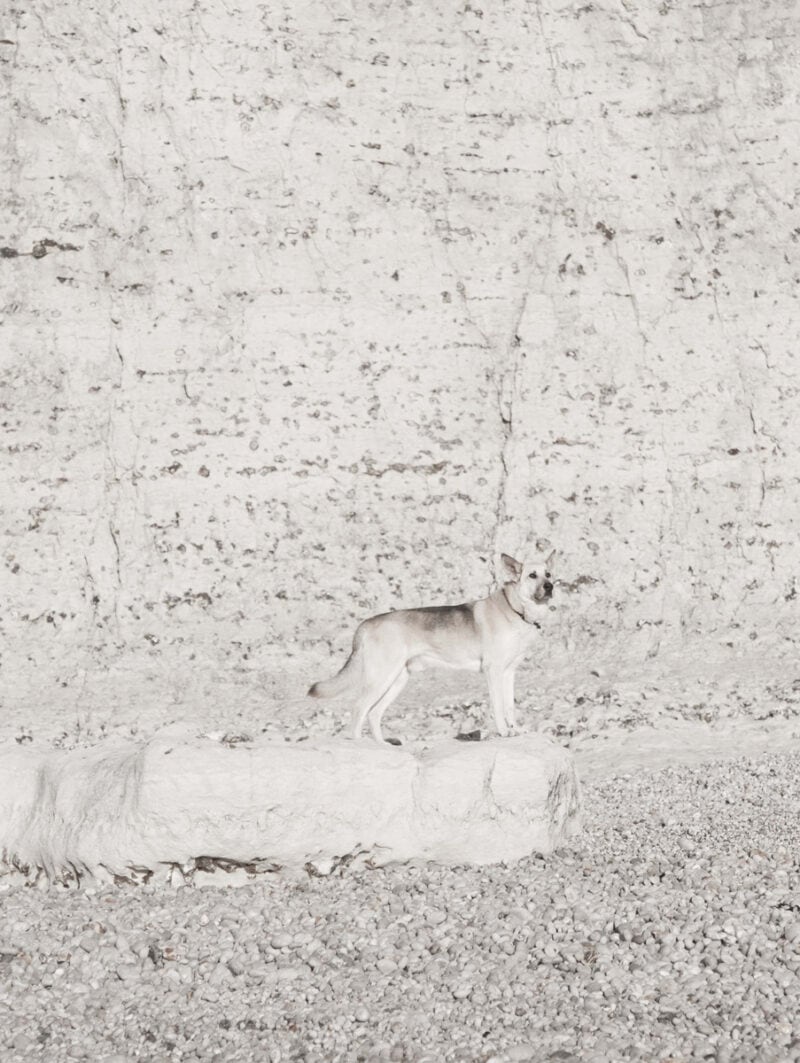 Cleo Goossens Route Du Soleil C41magazine Photography 15