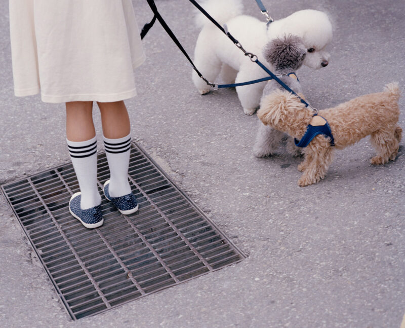 Florian Bong Kil Grosse Hanguk C41magazine Photography 20