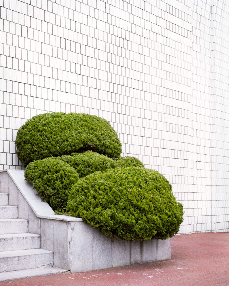 Florian Bong Kil Grosse Hanguk C41magazine Photography 27
