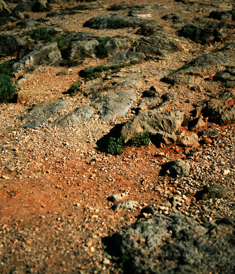 Laura Ghezzi If You Look Close C41magazine Photography 12