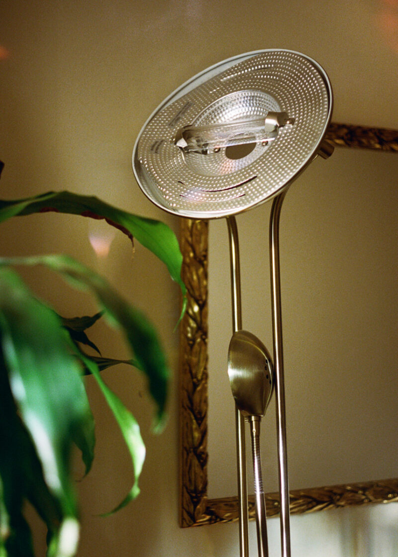 Laura Ghezzi If You Look Close C41magazine Photography 19