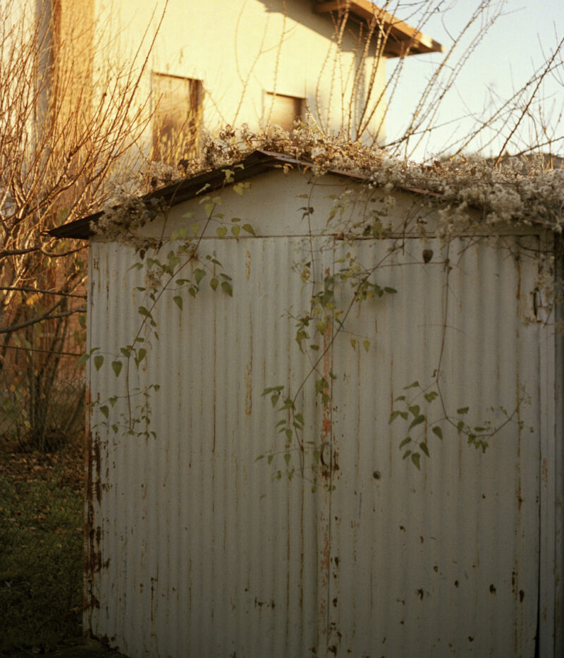 Picture 013