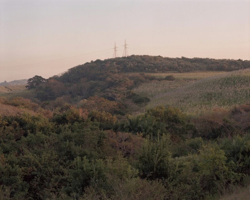 Robin Bernstein SA PL 001