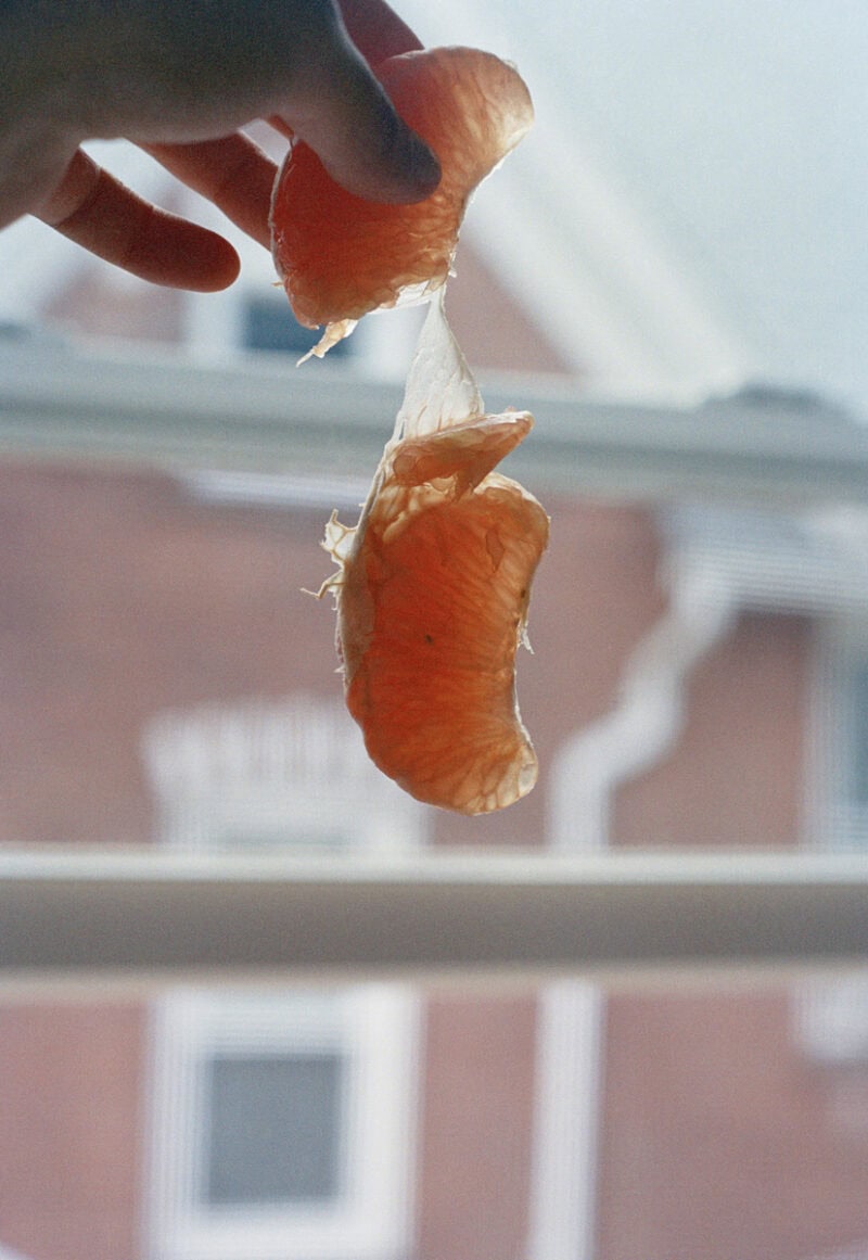 Solenne Spitalier Wide Open C41magazine Photography 6