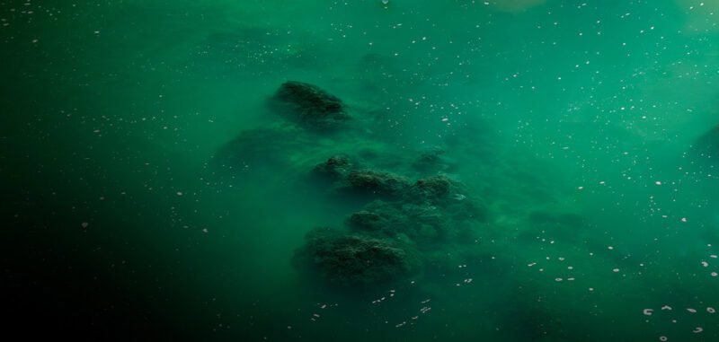 08 River Sarine With Chemicals