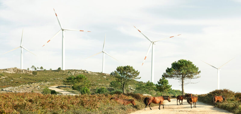 09 Eolicas Wind Farm