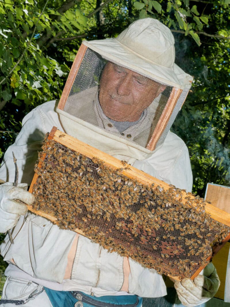 Alessio Keilty The Beekeeper C41magazine Photography 3