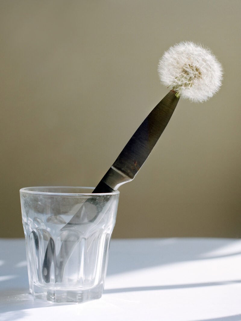 Bridget Collins Olly Olly Oxen Free C41magazine Photography 1