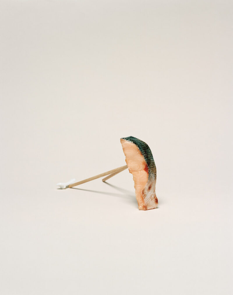 Elia Pinna Sample# Salmon SAMPLE 9
