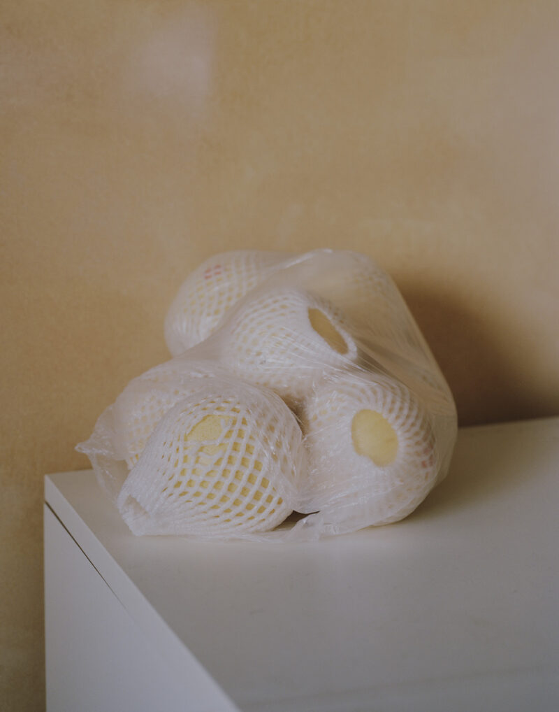 Gloria Wo􏰃ng Sik Teng Mm Sik Gong (pardon My Chinese) C41magazine Photography 4