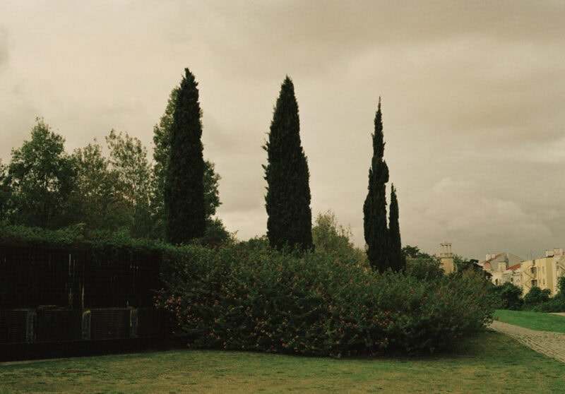Josh Croll Fragmentary By Nature 6
