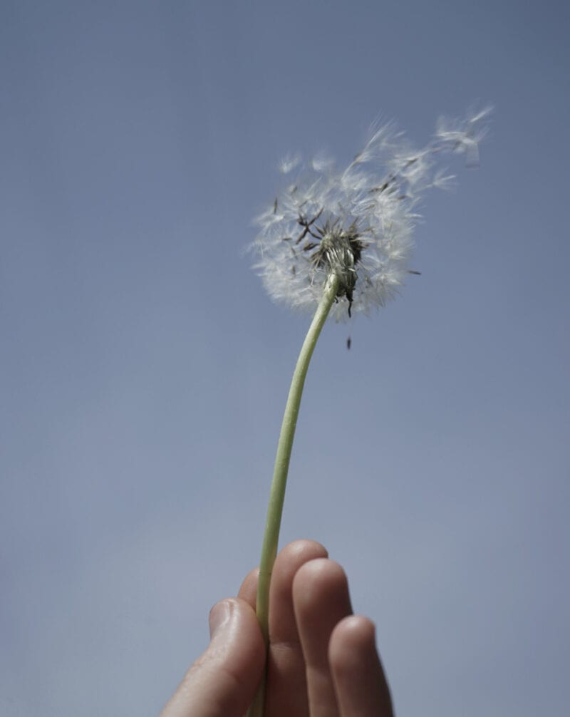 Alessia Morellini I Believe In Simple Things C41magazine Photography 7