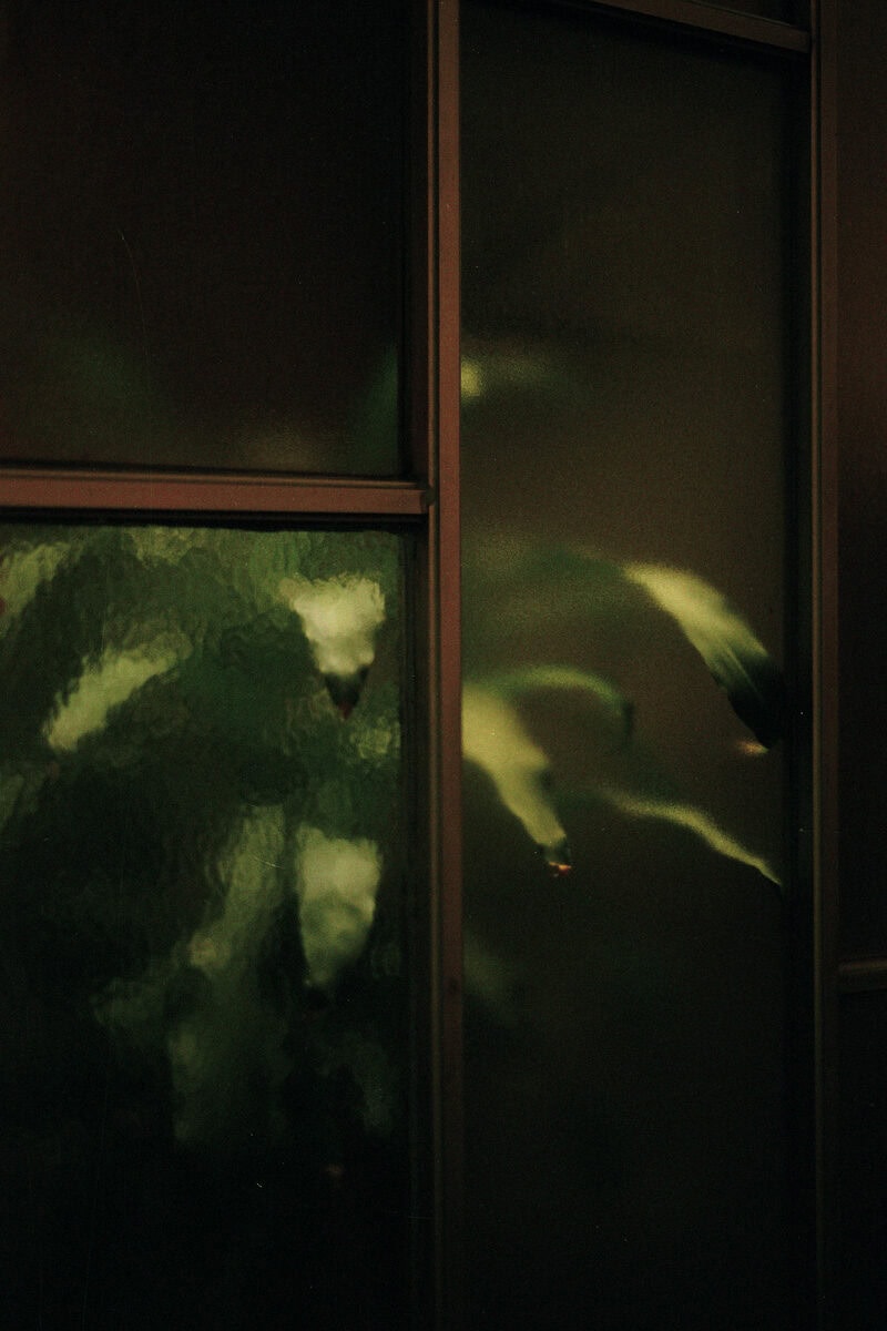 Carla Oset Habitat C41magazine Photography 11