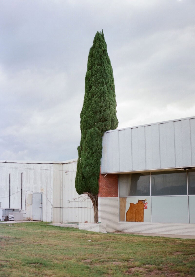 Courtney Allen Outside, The Natural World Was Enjoying A Moment Of Total Strength C41magazine Photography 25