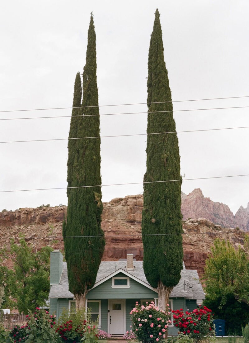 Courtney Allen Outside, The Natural World Was Enjoying A Moment Of Total Strength C41magazine Photography 3
