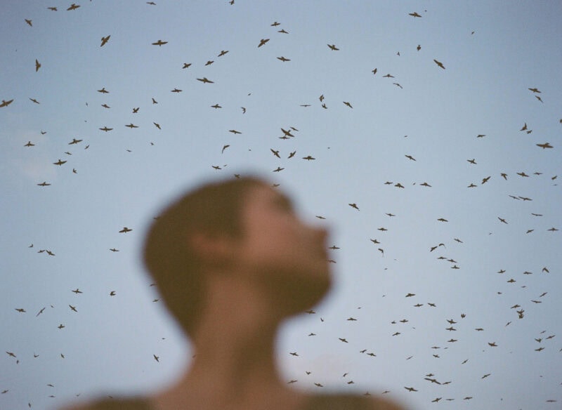 Courtney Allen Outside, The Natural World Was Enjoying A Moment Of Total Strength C41magazine Photography 34