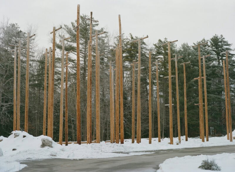 Courtney Allen Outside, The Natural World Was Enjoying A Moment Of Total Strength C41magazine Photography 36