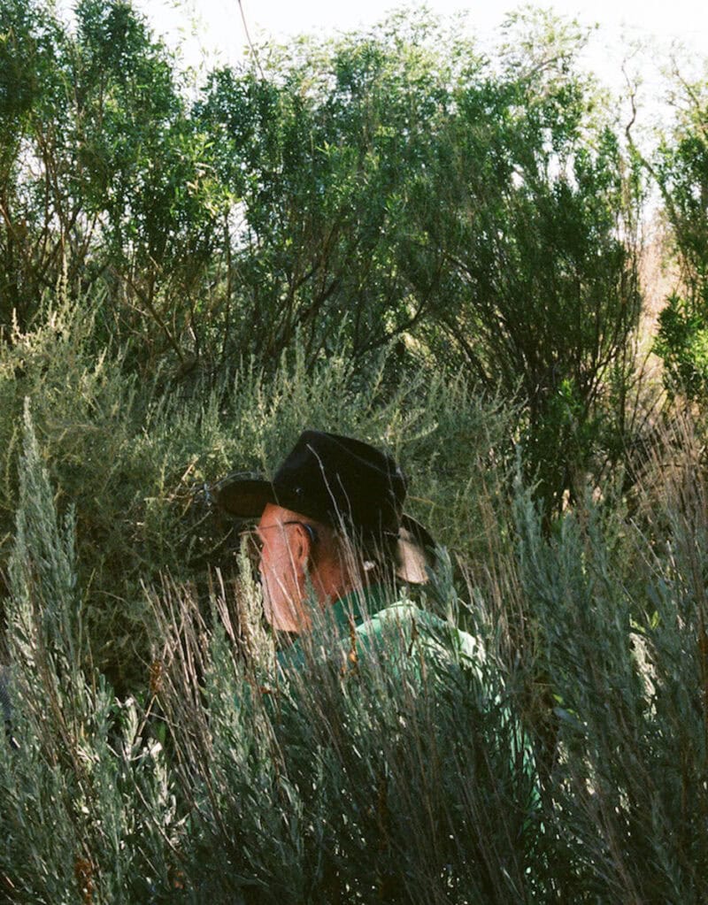 Courtney Allen Outside, The Natural World Was Enjoying A Moment Of Total Strength C41magazine Photography 5