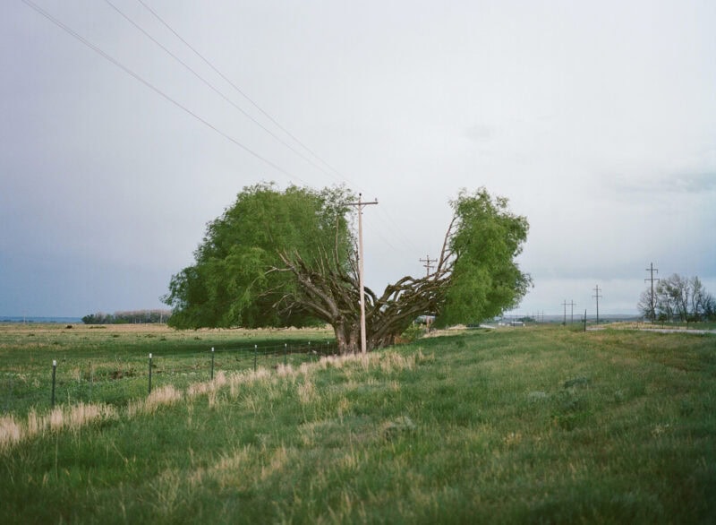 Courtney Allen Outside, The Natural World Was Enjoying A Moment Of Total Strength C41magazine Photography 6