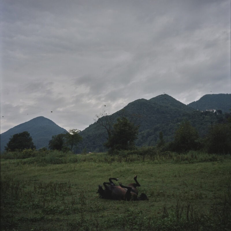 Davide Padovan Say Something C41magazine Photography 12
