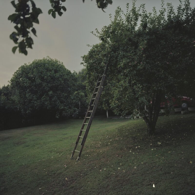 Davide Padovan Say Something C41magazine Photography 3