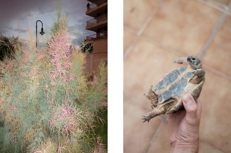 Diptychs It's Always A Bit Weird With Family 14